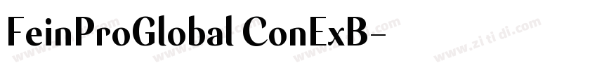 FeinProGlobal ConExB字体转换